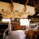 [12.18]第104回”オンライン”エコツアーカフェ「日本のけものを皮から革へ～MATAGIプロジェクトは新たなステージに～」