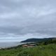 コラム特別編『能登半島被災地支援RQの活動に行ってきました！』第1弾（小林 政文）
