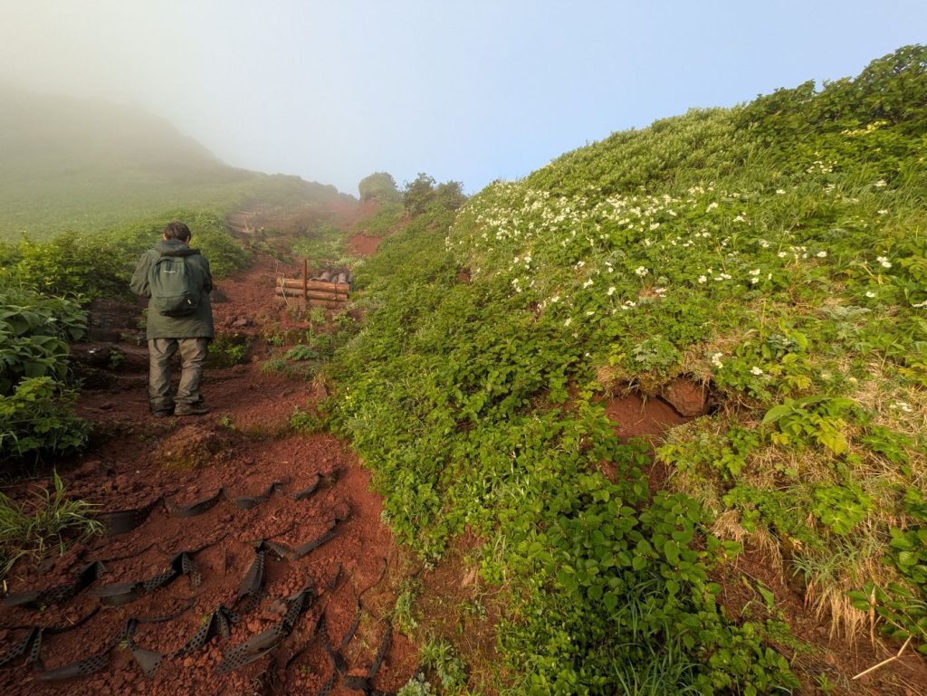 登山道整備の苦労をかみしめながら、一歩一歩、山頂を目指す